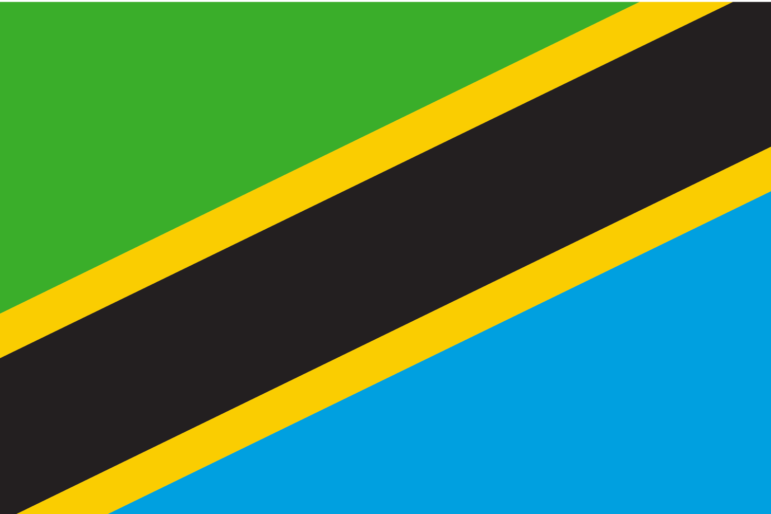 Tanzania flag
